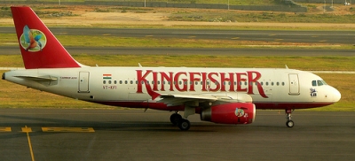 Kingfisher Plane